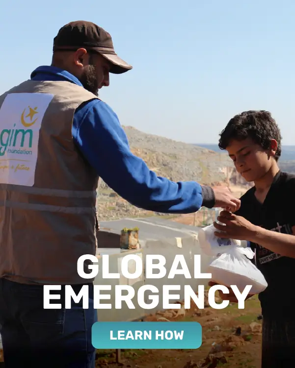 Mobile Slider - Global Emergency